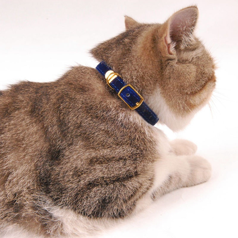 Collier pour chat, fournitures pour animaux de compagnie