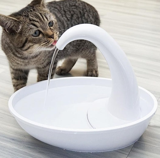 Bol à boire automatique de distributeur d'eau de chat d'animal familier de cygne