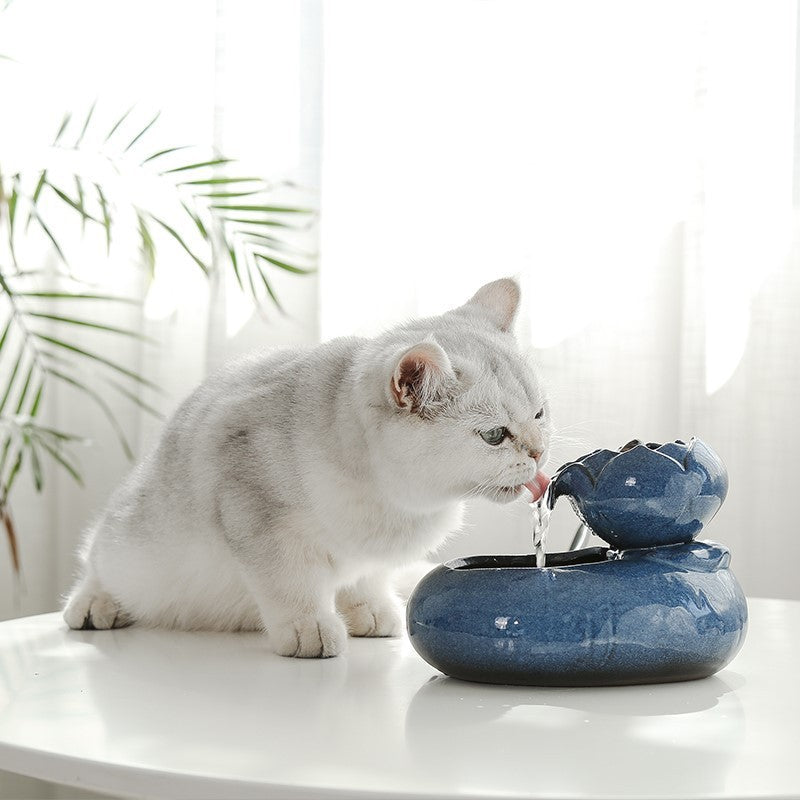 Mangeoire à eau pour chat 