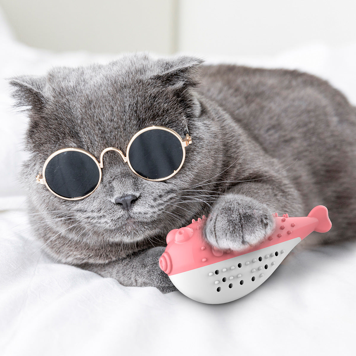 Juguete de cepillo de dientes de gato con pez de simulación de menta