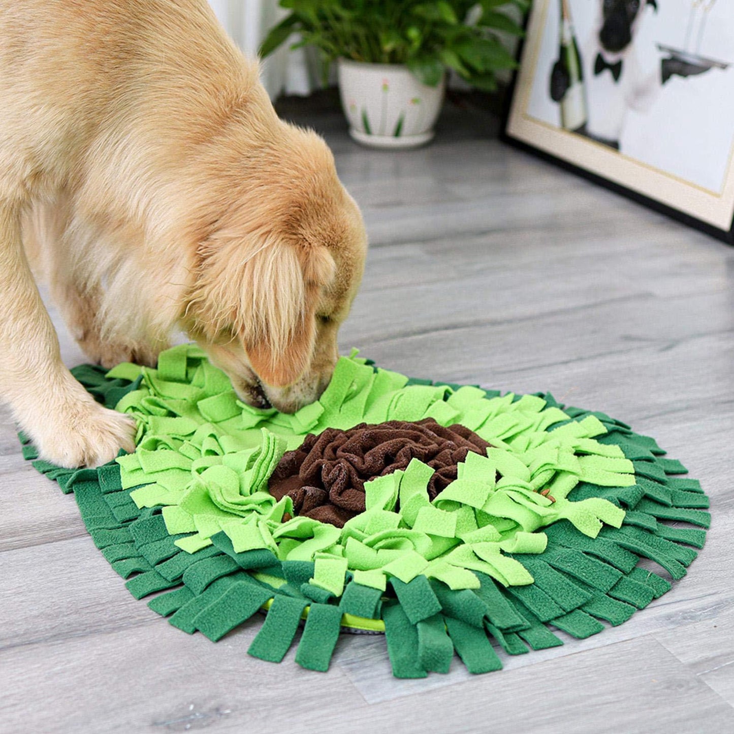 Tapis de reniflage pour chien, Puzzle, jouet pour animaux de compagnie, tapis d'alimentation, jeu interactif ennuyeux, couverture d'entraînement, reniflage