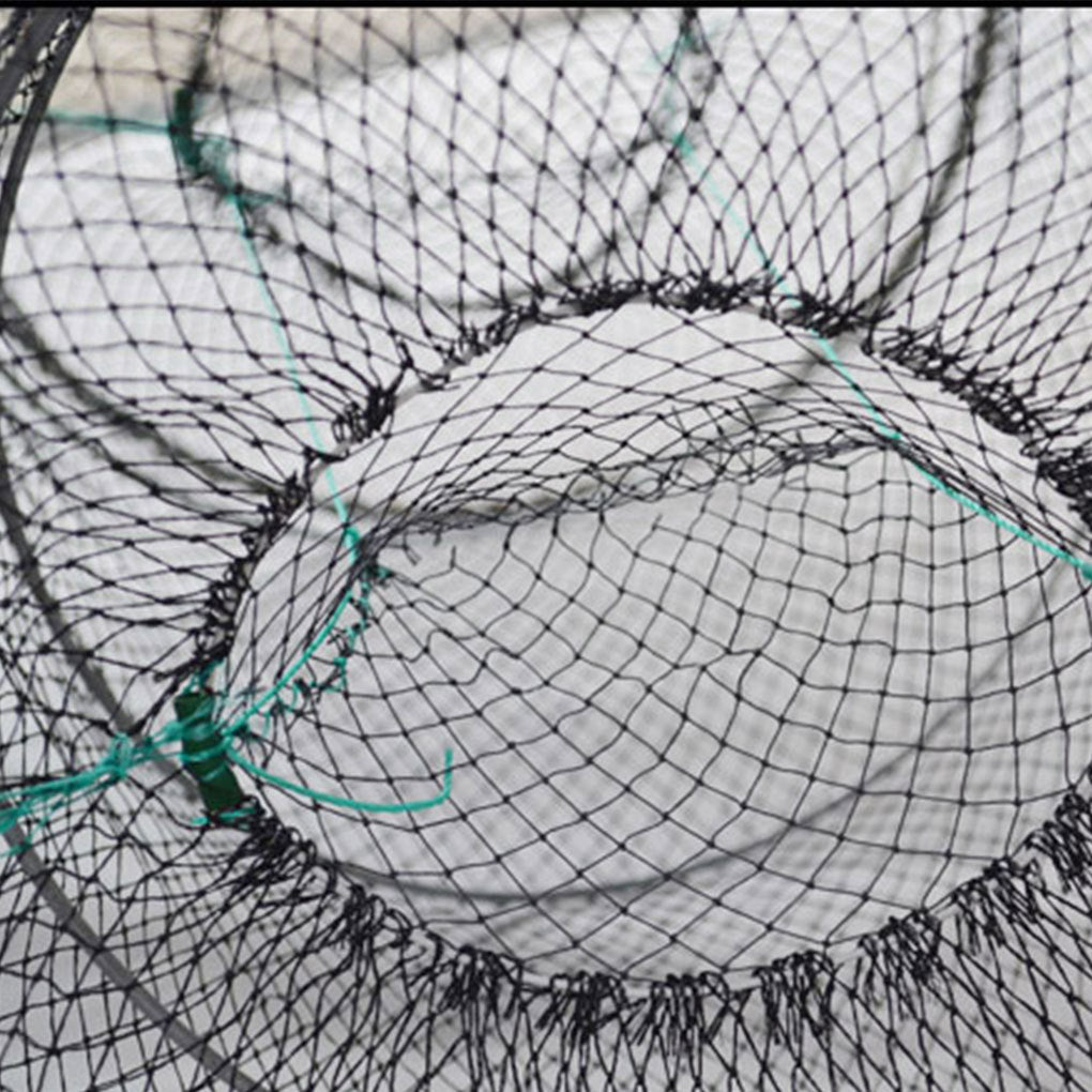 Cage à poissons, cage à tortues, outil de capture de poisson
