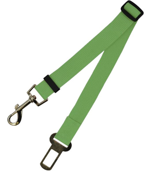 Sangle fixe en polyester pour chien, laisse pour chien, laisse pour chien