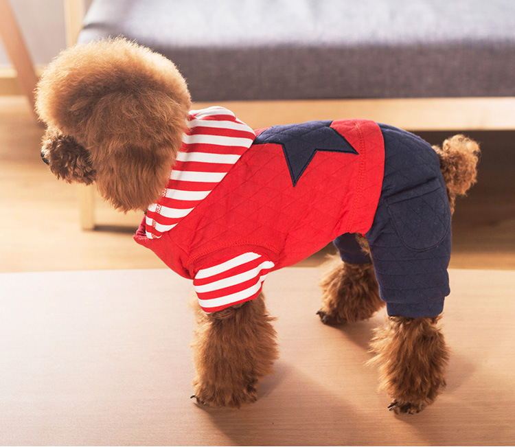 Pet dog clothes