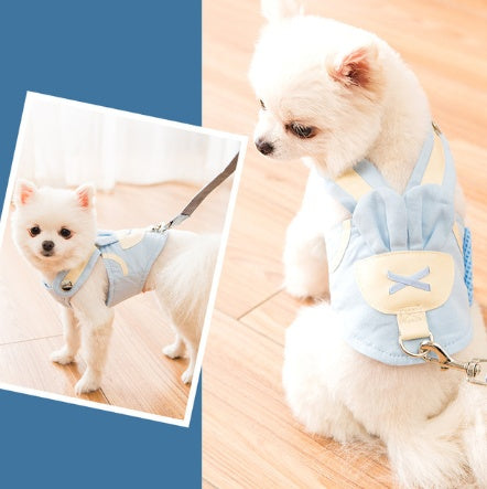 Ensemble de laisse de harnais pour chien mignon