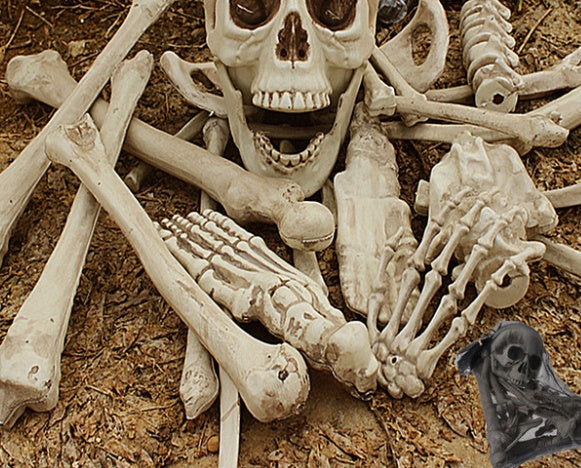 Halloween Skeleton Bones 28pcs Halloween Prop Squelette Crâne Maison Hantée Horreur Accessoire Décorations De Fête Tricky Bones Crâne