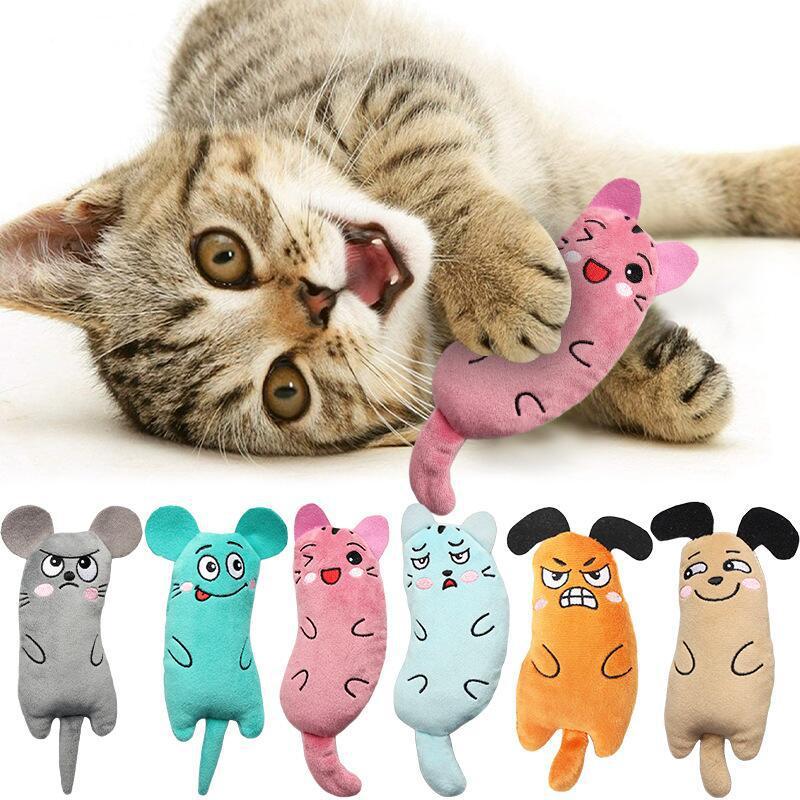Jouets à la menthe brodés en peluche pour animaux de compagnie de chat
