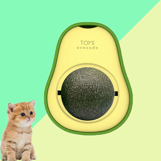 Jouet multifonctionnel d'herbe à chat, avocat, chat, menthe, artefact d'auto-guérison rotatif à 360 degrés, fournitures pour animaux de compagnie