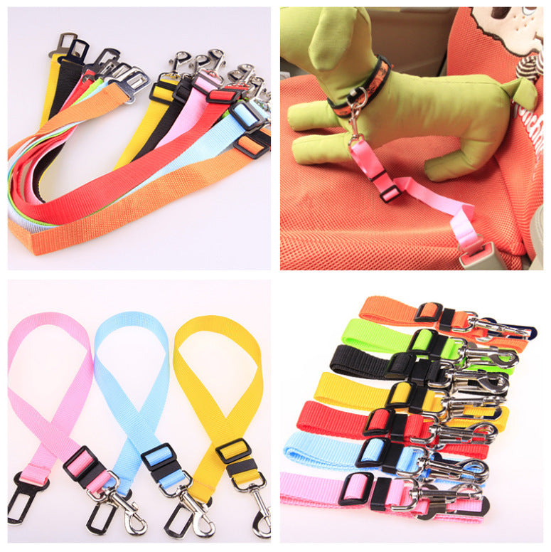 Sangle fixe en polyester pour chien, laisse pour chien, laisse pour chien