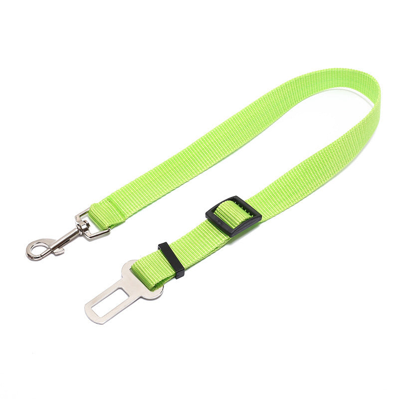Sangle fixe en polyester pour chien, laisse pour chien, laisse pour chien
