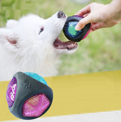 Balle jouet pour chien