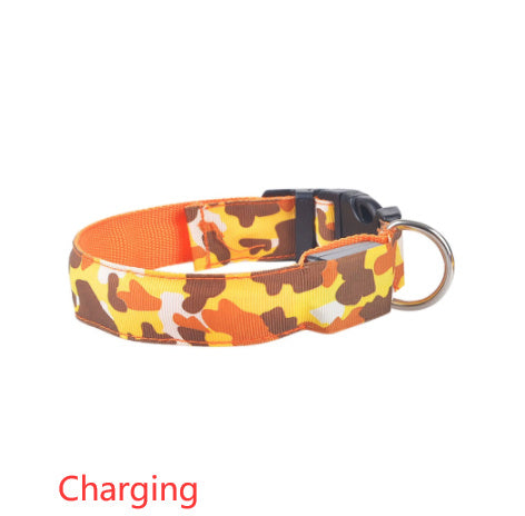 Collier de chien lumineux, fournitures pour animaux de compagnie, Camouflage