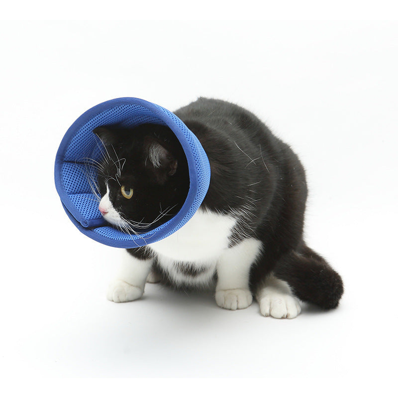 Collar antimordida para perros y gatos, collares de recuperación médica para mascotas, cubierta de protección transparente para mascotas, Collar isabelino circular para suministros para mascotas