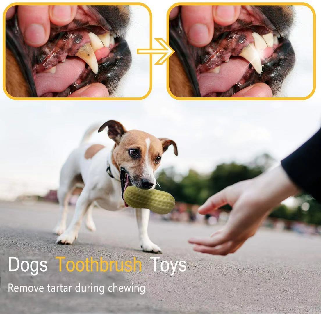 Jouets grinçants amusants pour chiens de compagnie, pour petits chiens moyens, résistant aux morsures, chiot, chat, jouets pour animaux de compagnie, en caoutchouc, cacahuètes, jouet à mâcher pour dents propres