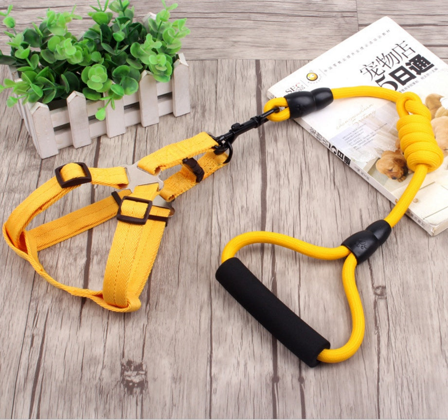 chaîne pour chien, collier pour chien, corde de harnais pour animaux de compagnie