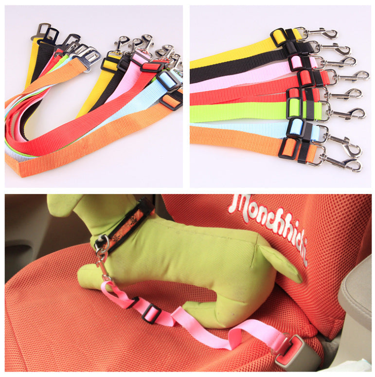 Sangle fixe en polyester pour chien, laisse pour chien, laisse pour chien