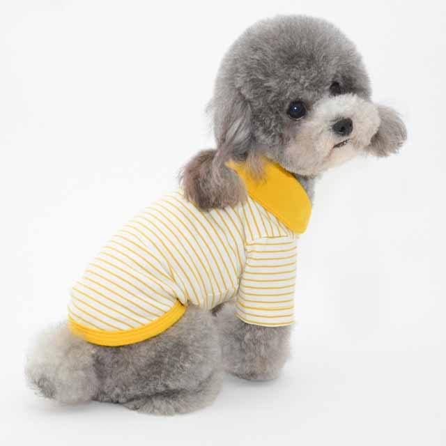 Vêtements pour animaux de compagnie