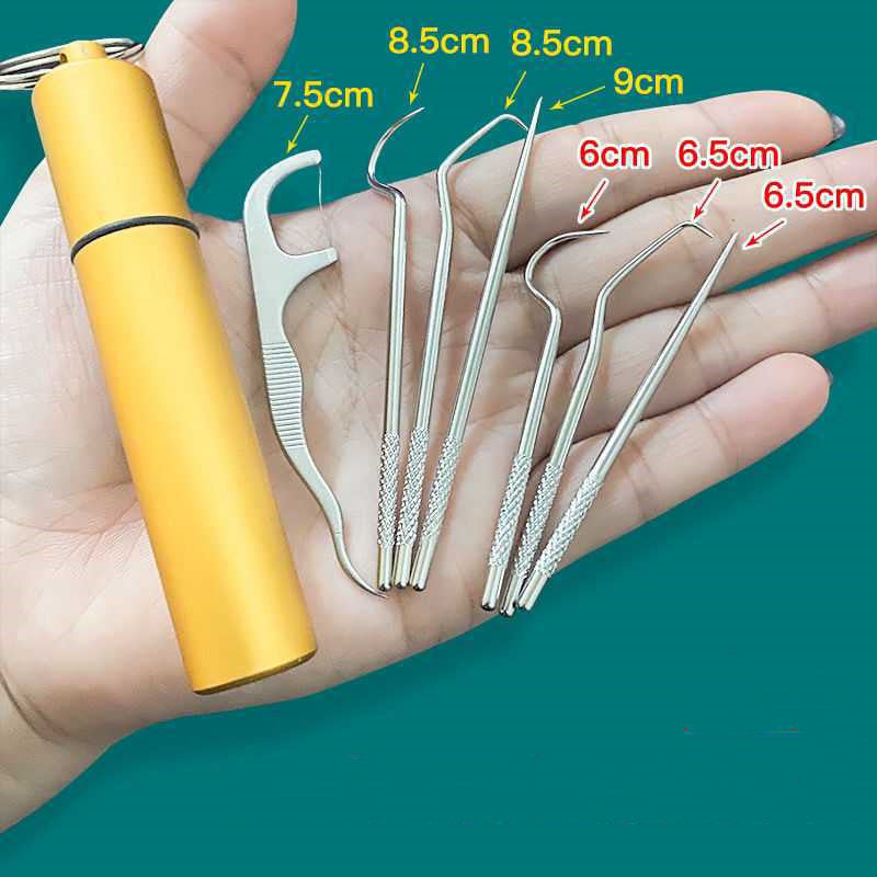 Cure-dents en acier inoxydable 304, outil de nettoyage Portable domestique, ensemble de 7 pièces