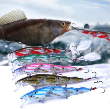 Appât à poisson pour siniperca chuatsi