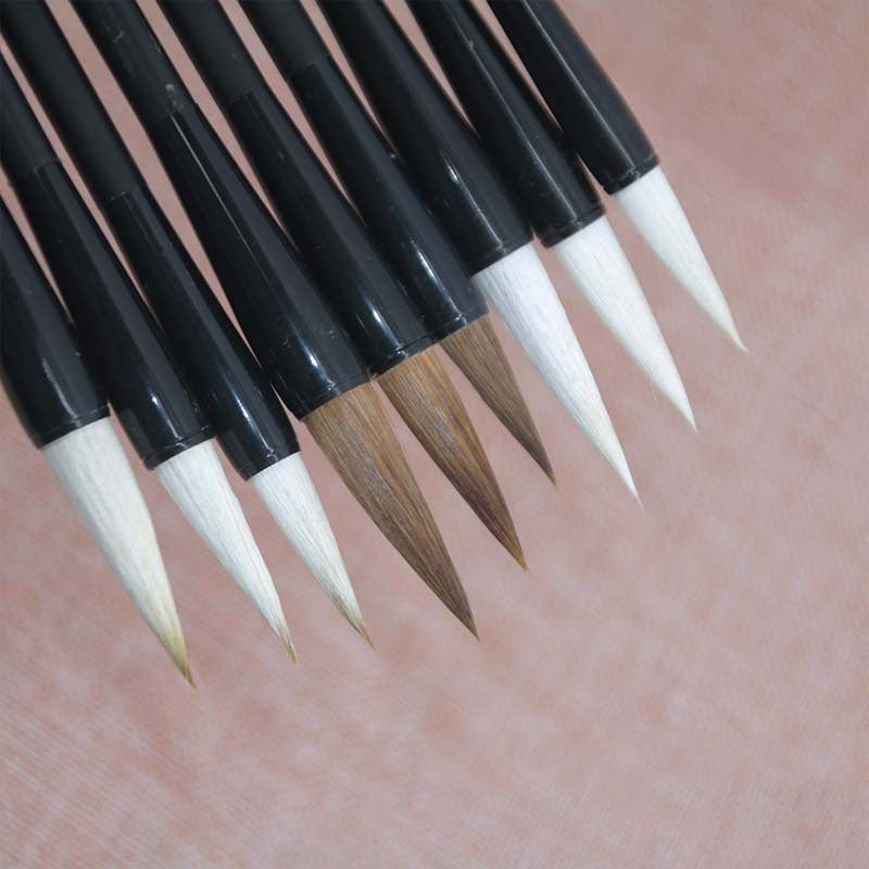 Brosse à cheveux Student Wolf, débutant et brosse à cheveux
