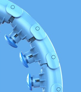 Círculo de pérdida de peso de cintura delgada y perezosa.