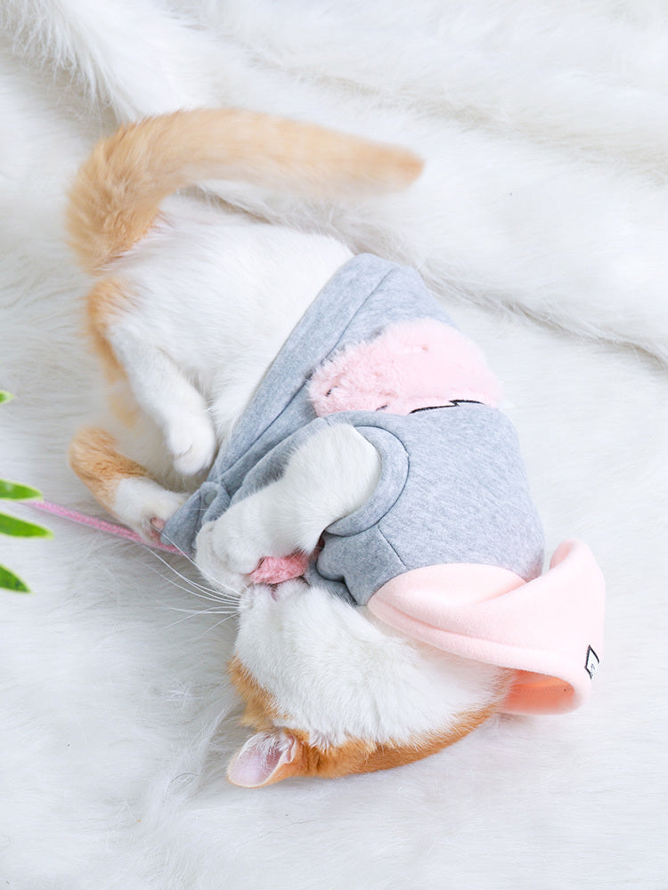 Vêtements pour chats