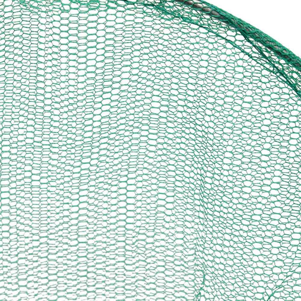 Cages à mouches vertes dans la rue communautaire Pièges à mouches Attrape-mouches Tueurs de mouches Piège à mouches