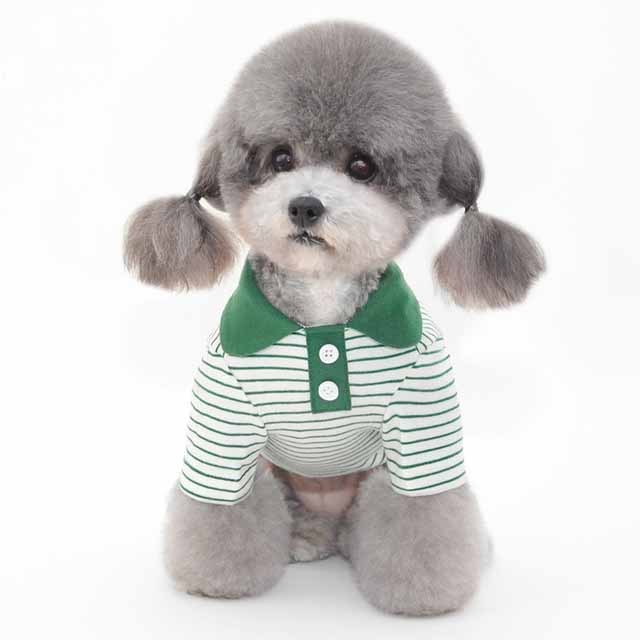 Vêtements pour animaux de compagnie