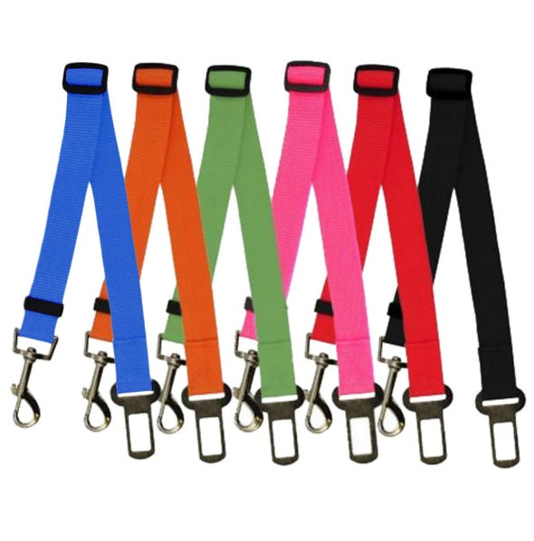 Sangle fixe en polyester pour chien, laisse pour chien, laisse pour chien