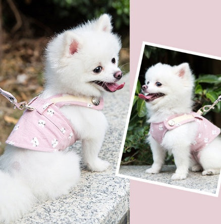 Ensemble de laisse de harnais pour chien mignon