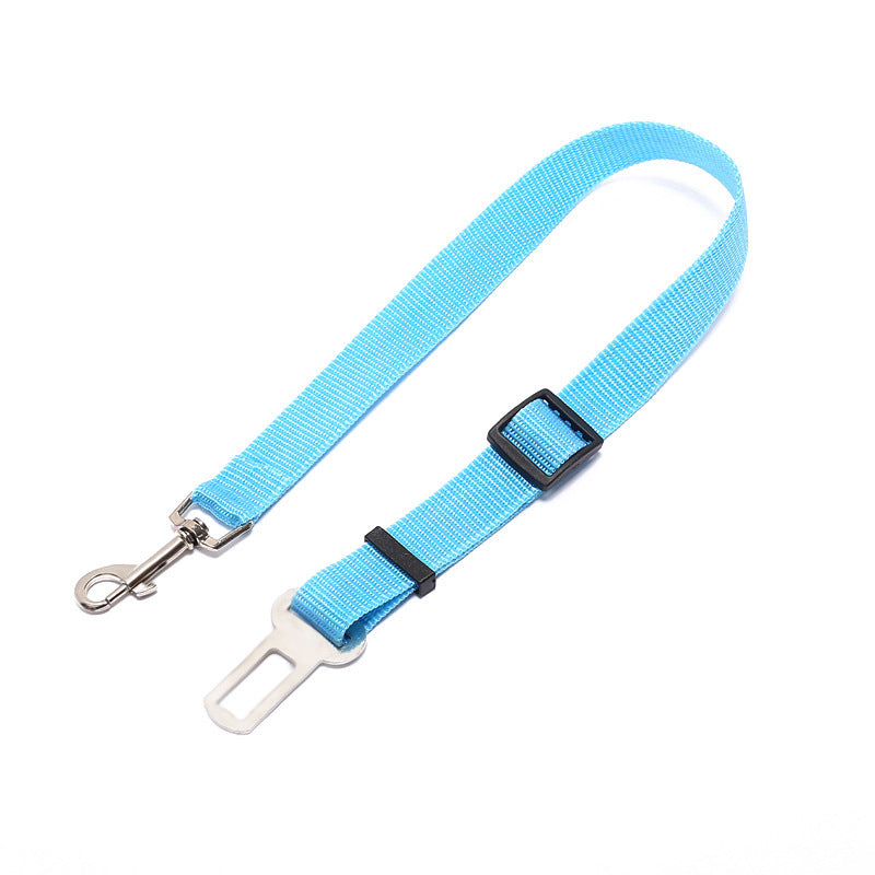 Sangle fixe en polyester pour chien, laisse pour chien, laisse pour chien