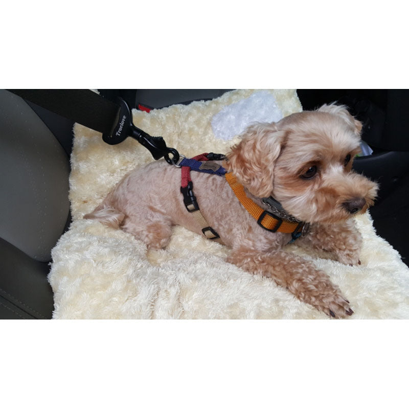 Ceinture de sécurité pour chien