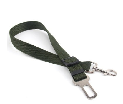 Sangle fixe en polyester pour chien, laisse pour chien, laisse pour chien