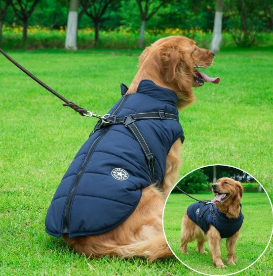 Vêtements pour chiens poitrine dos gilet en coton intégré vêtements en coton pour animaux de compagnie vêtements d'hiver