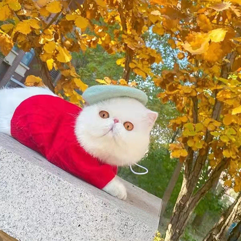 Produits respirants pour animaux de compagnie printemps-été multicolores