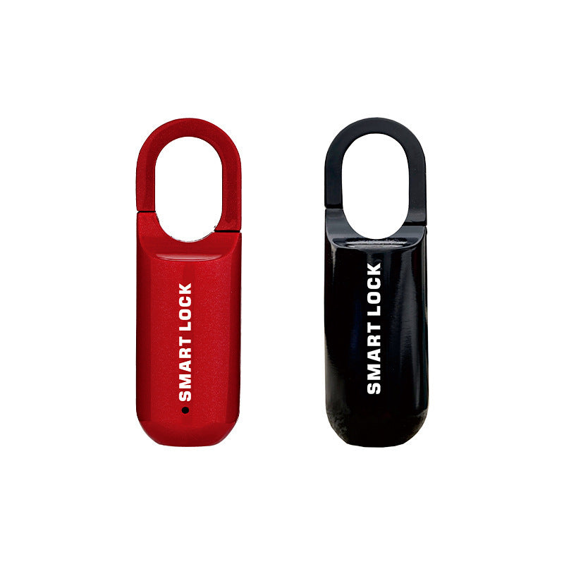 Serrure intelligente à Code d'empreinte digitale, Rechargeable par USB, facile à transporter, pour sac à dos, serrure à empreintes digitales pour salle de sport, casier d'école, porte de maison, bagages de voyage