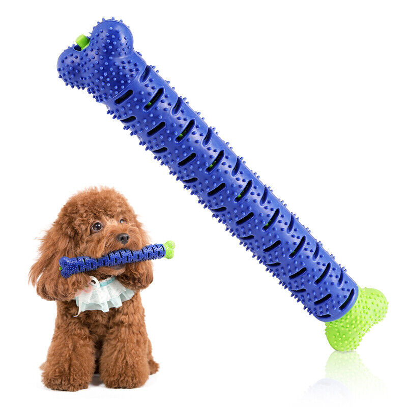 Jouets pour chiens brosse à dents TPR mâcher morsure nettoyage des dents molaire pour animaux de compagnie bâton de brossage chiens brosse à dents à mâcher morsure jouet à mâcher Durable