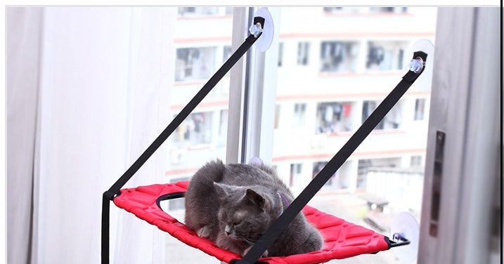 Hamac pour chat, siège de repos de fenêtre, perchoir, lit pour chats d'intérieur qui dorment