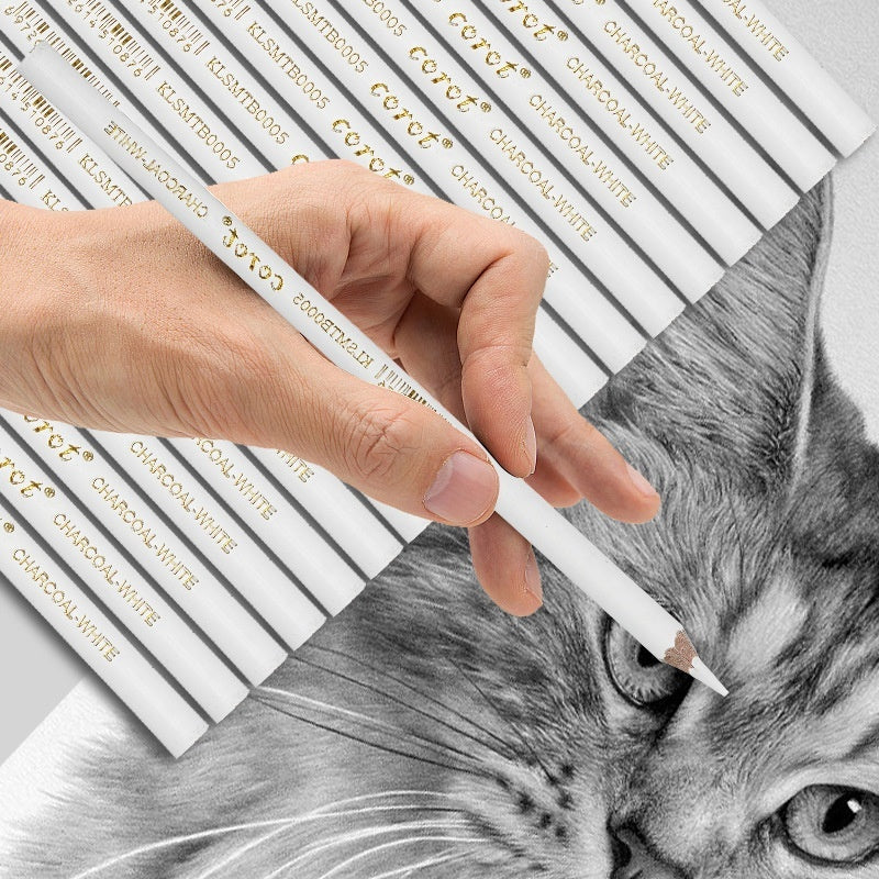 Stylo surligneur pour croquis, poudre blanche, pinceau en plomb