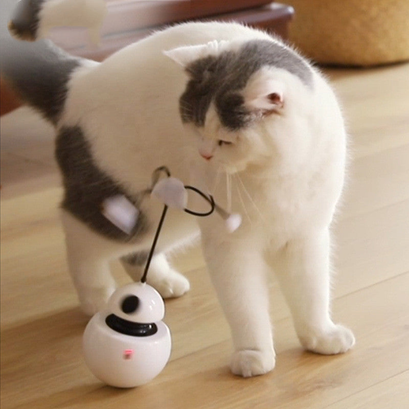 Jouet électrique pour chat, jouet amusant pour chat