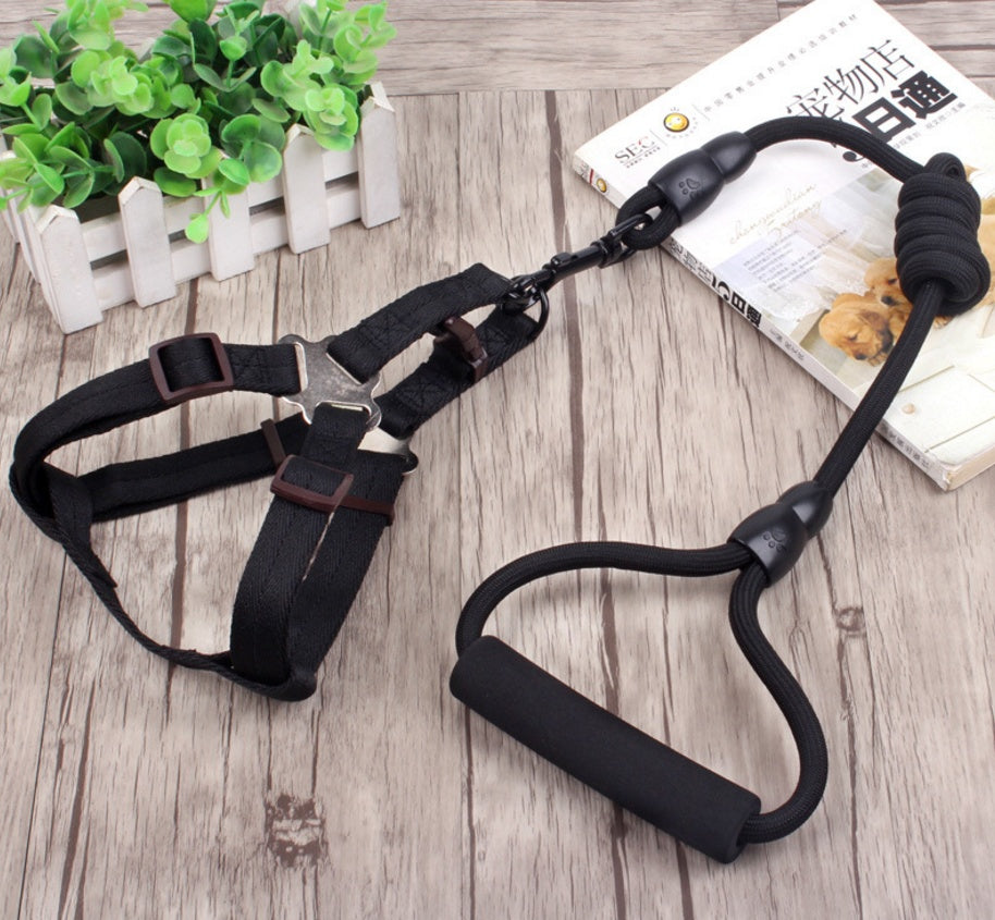 chaîne pour chien, collier pour chien, corde de harnais pour animaux de compagnie