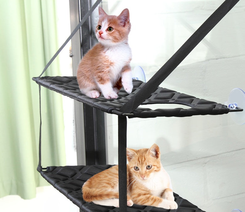 Hamac pour chat, siège de repos de fenêtre, perchoir, lit pour chats d'intérieur qui dorment