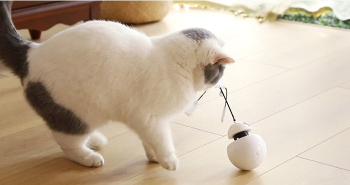 Jouet pour chat jouet drôle pour chat trois en un robot gobelet laser jouet pour chat