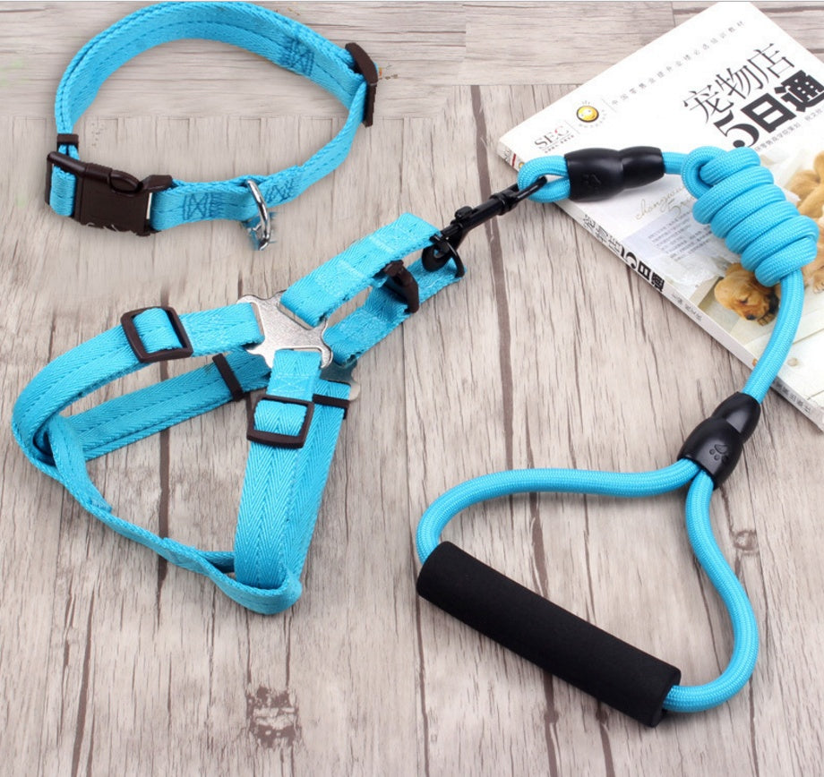 chaîne pour chien, collier pour chien, corde de harnais pour animaux de compagnie