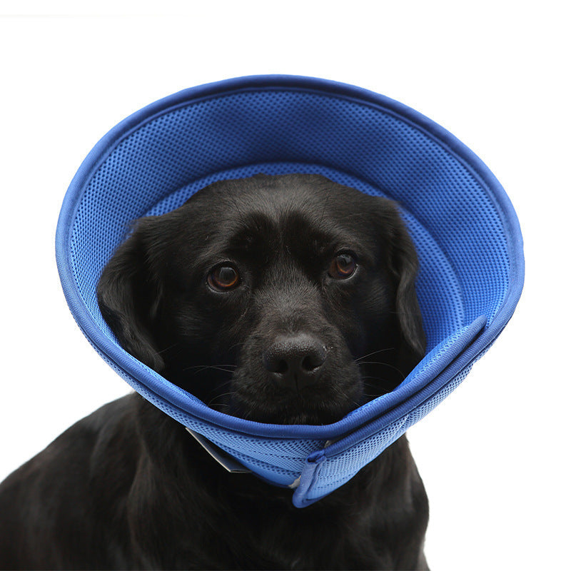 Collar antimordida para perros y gatos, collares de recuperación médica para mascotas, cubierta de protección transparente para mascotas, Collar isabelino circular para suministros para mascotas