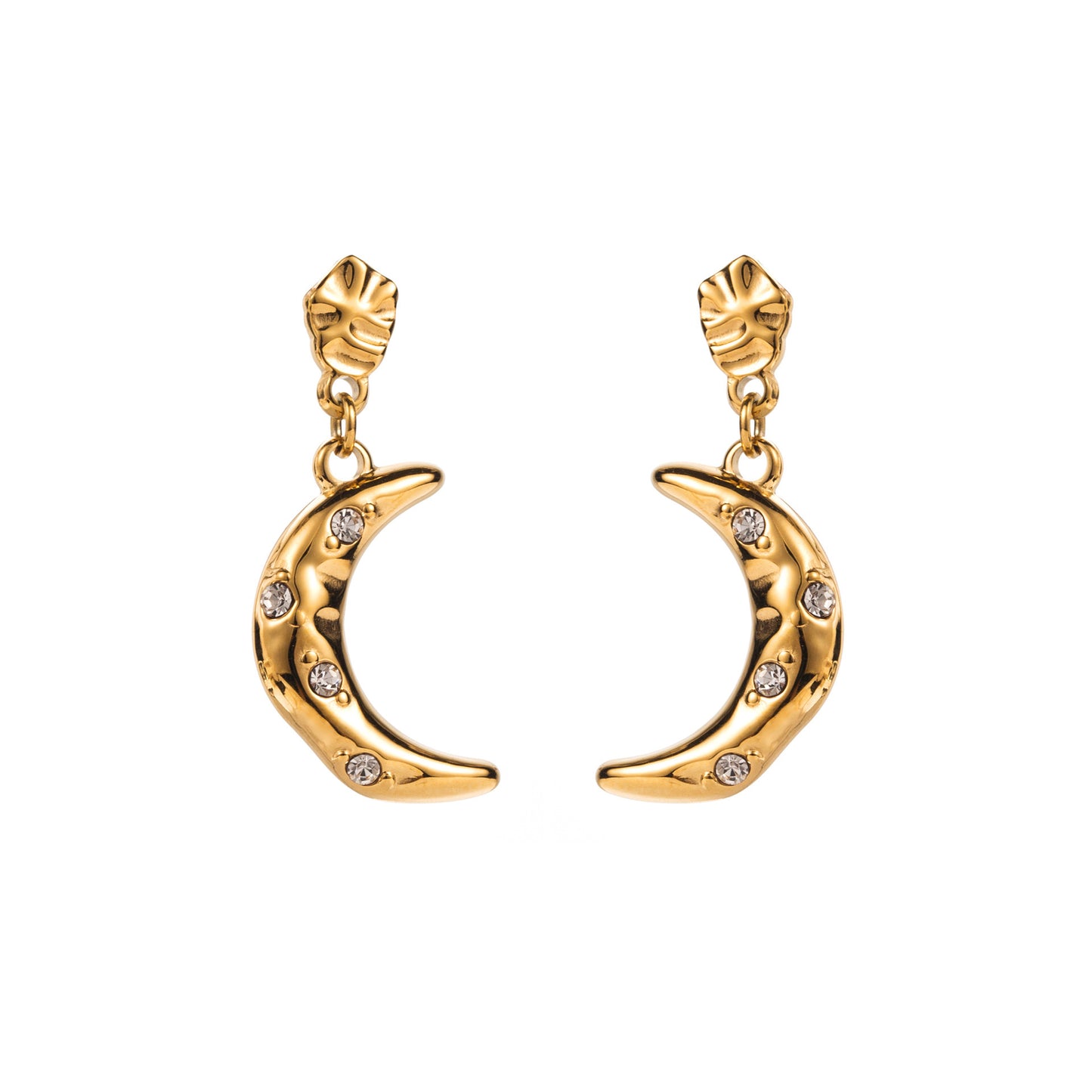Women's Stainless Steel Eardrops