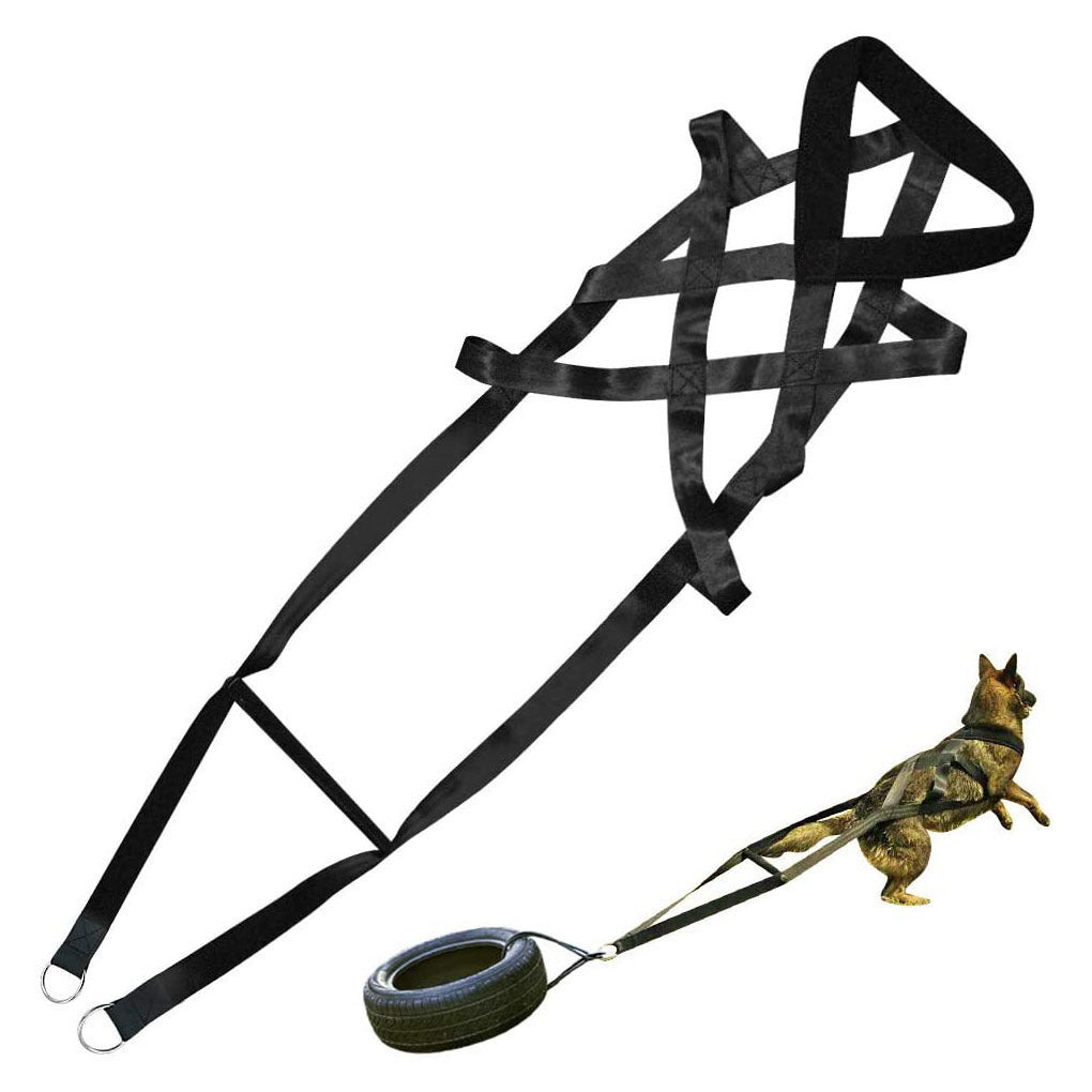 Suministros para adiestramiento de perros Suministros para perros Correas Correas para el pecho