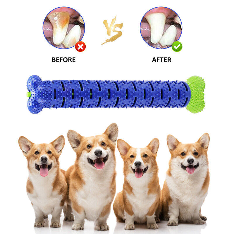Jouets pour chiens brosse à dents TPR mâcher morsure nettoyage des dents molaire pour animaux de compagnie bâton de brossage chiens brosse à dents à mâcher morsure jouet à mâcher Durable