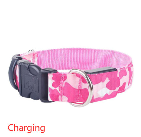 Collier de chien lumineux, fournitures pour animaux de compagnie, Camouflage