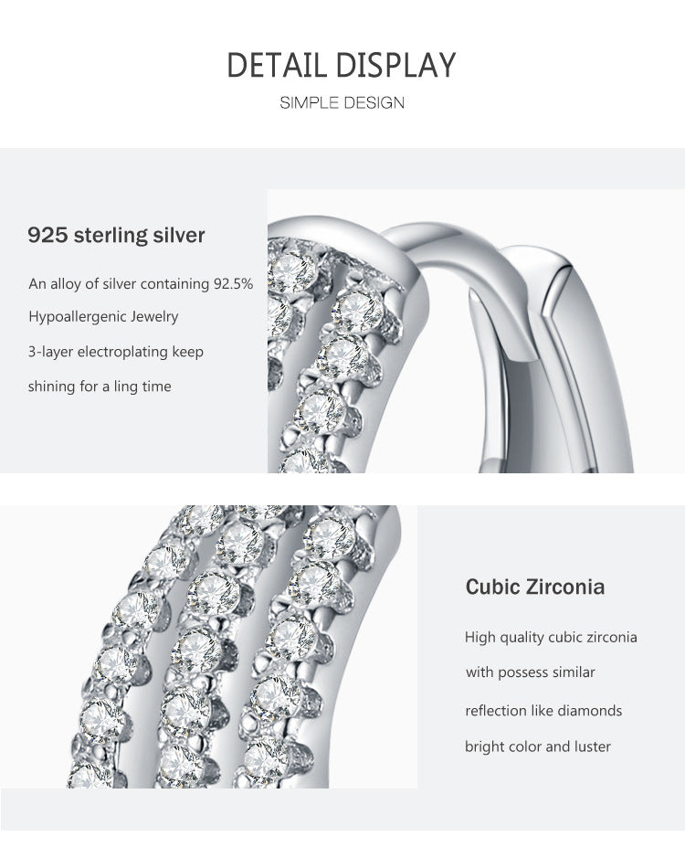 S925 Silver Frosty Style Earrings Female